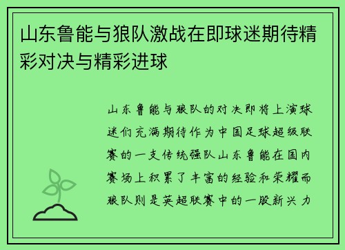 山东鲁能与狼队激战在即球迷期待精彩对决与精彩进球
